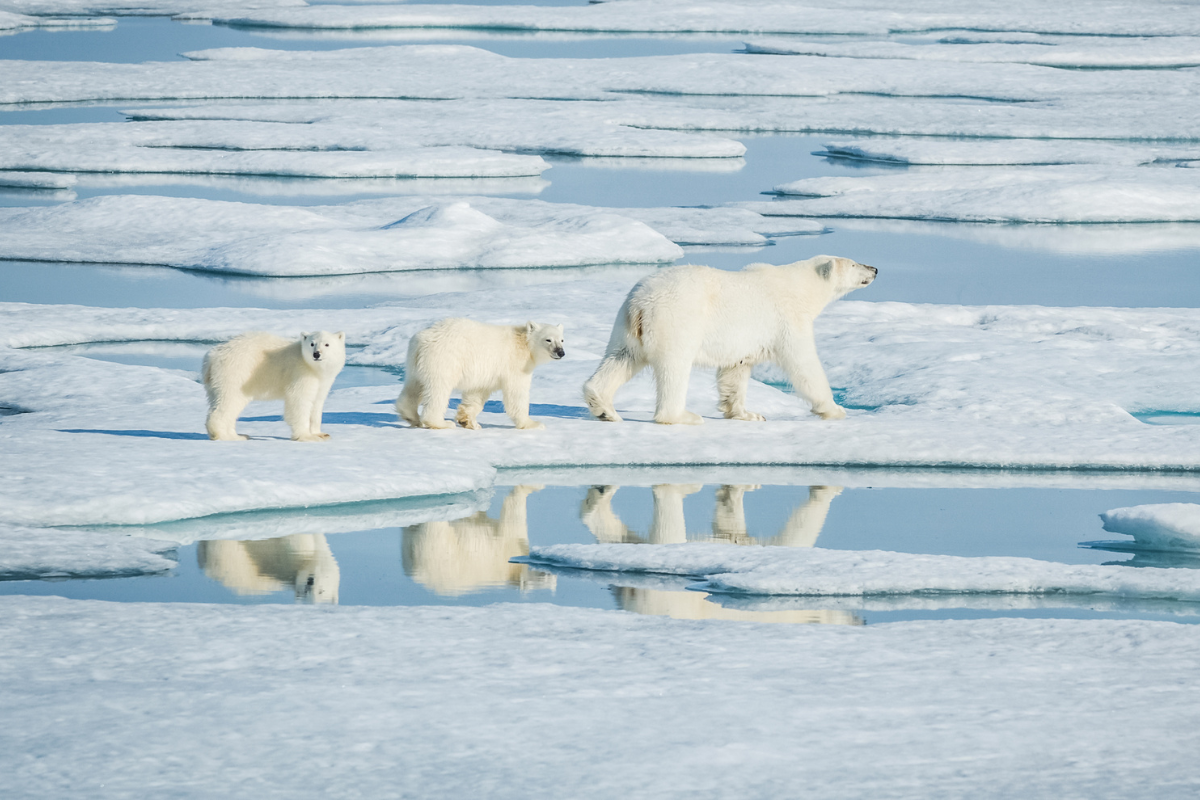 Arctic Climate Change Opens Path to New Economic Frontiers