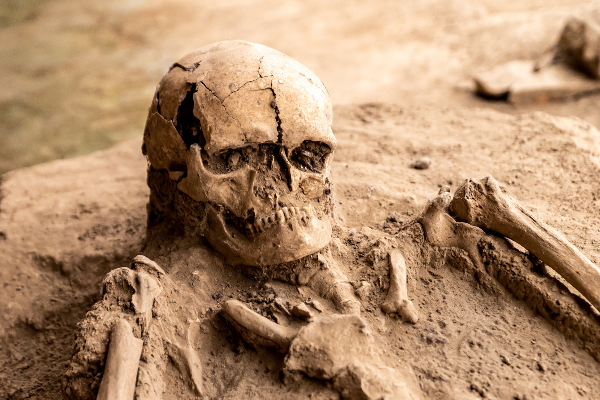 Ancient Human Fossils Discovered in China Illuminate Evolutionary History
