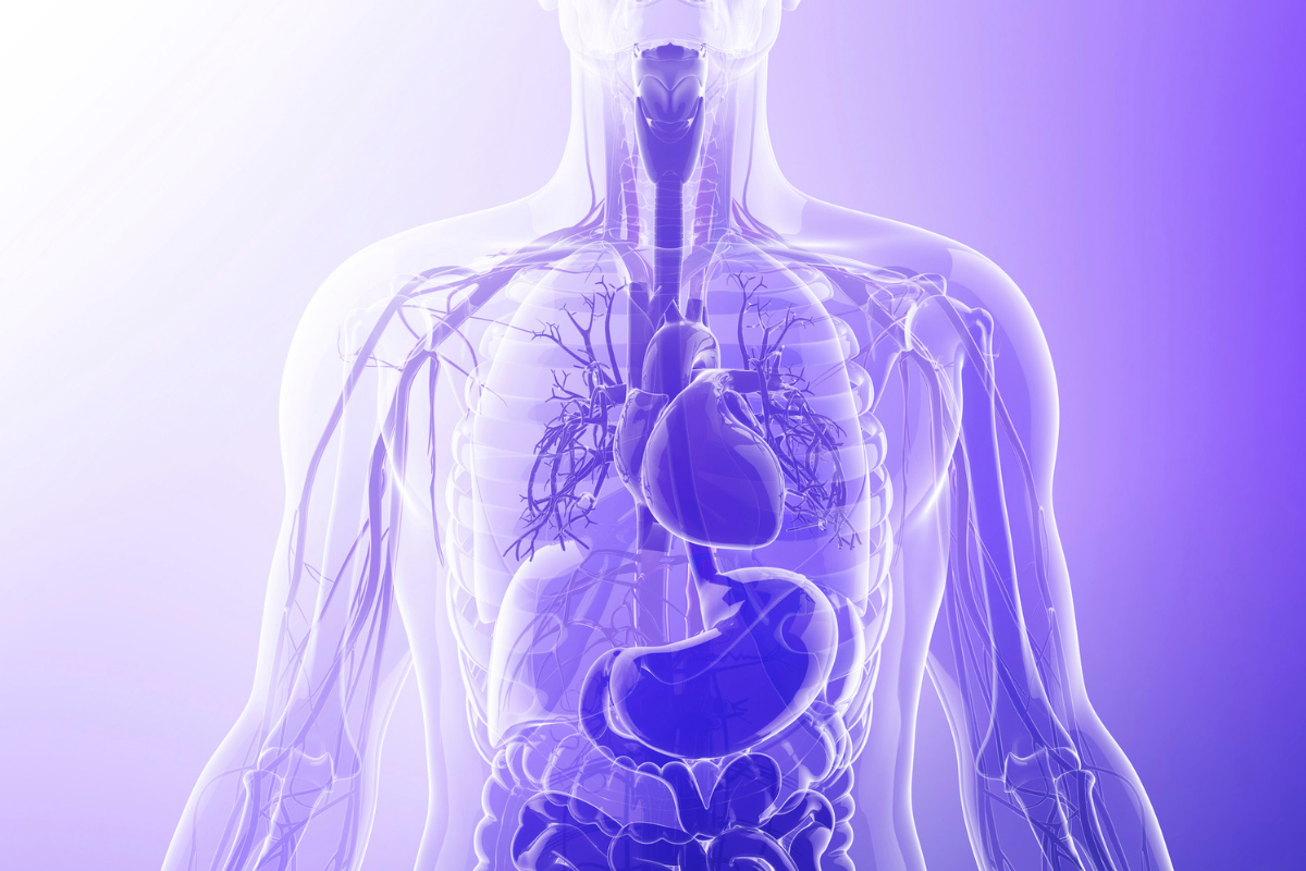Shared Worth: How Cultures and Eras Align on the Value of Body Parts I openvoicenews.com