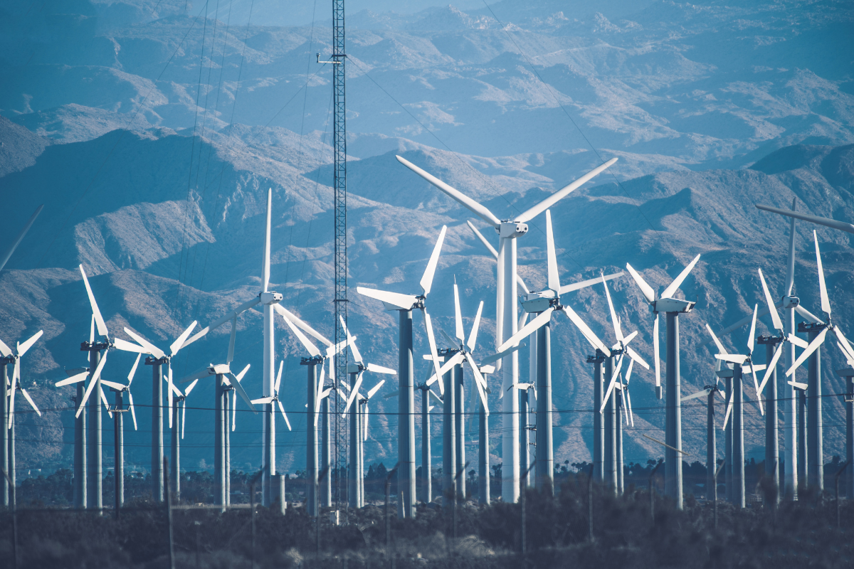Basic Energy and Renova Form Strategic Partnership for Wind Power Project