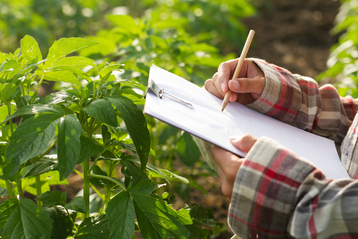 Philippines Strengthens Food Security Through Comprehensive Agricultural Policy