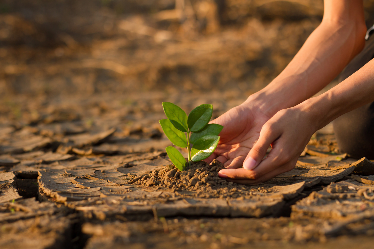 UN Report Reveals Alarming Trends in Global Food Insecurity Amid Climate Change Challenges