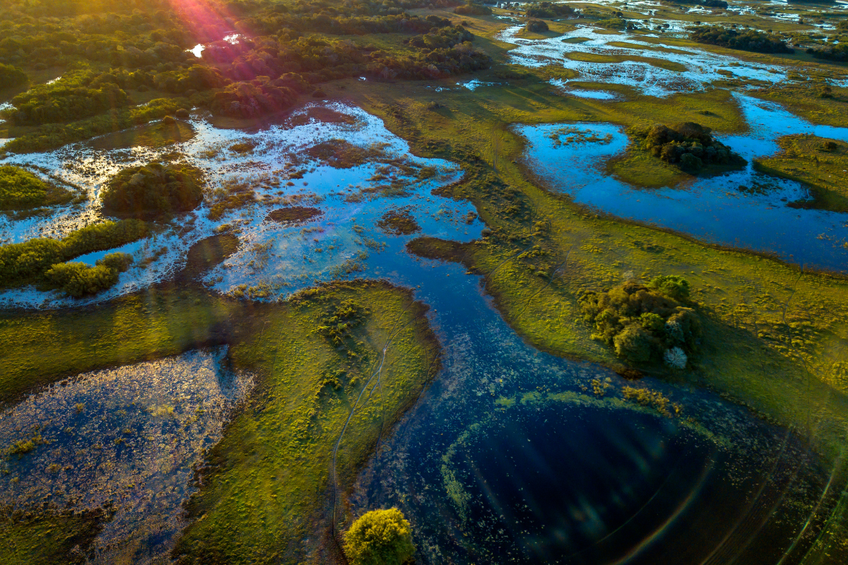 The Impact of Agricultural Research Investments on Biodiversity and Land Use