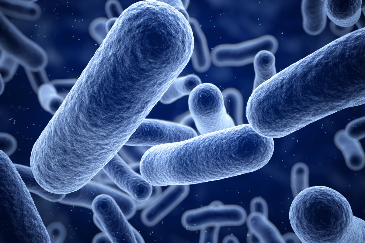 New Research Highlights Role of Estuary Bacteria in Detoxifying Pollutants in Saline Environments