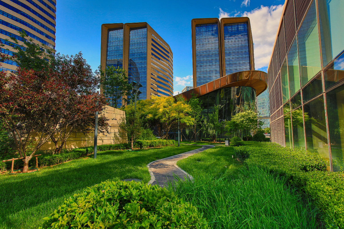 Study Reveals Correlation Between Urban Green Spaces and Public Health Outcomes