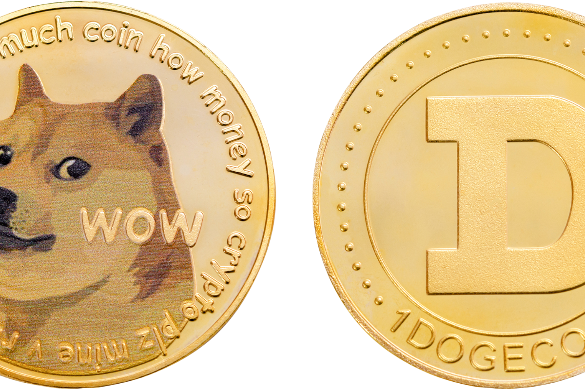 USAID Officials Resign Over Concerns About Musk's Role and Dogecoin Promotion