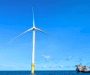 Trump Administration Halts Major Rhode Island Wind Project