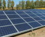 Albanese Government Defends Energy Standards Despite Builder Backlash