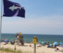 Sydney Beach Shark Warning After Sighting