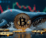 Bitcoin’s Institutional Shift Sparks Early Adopter Concerns
